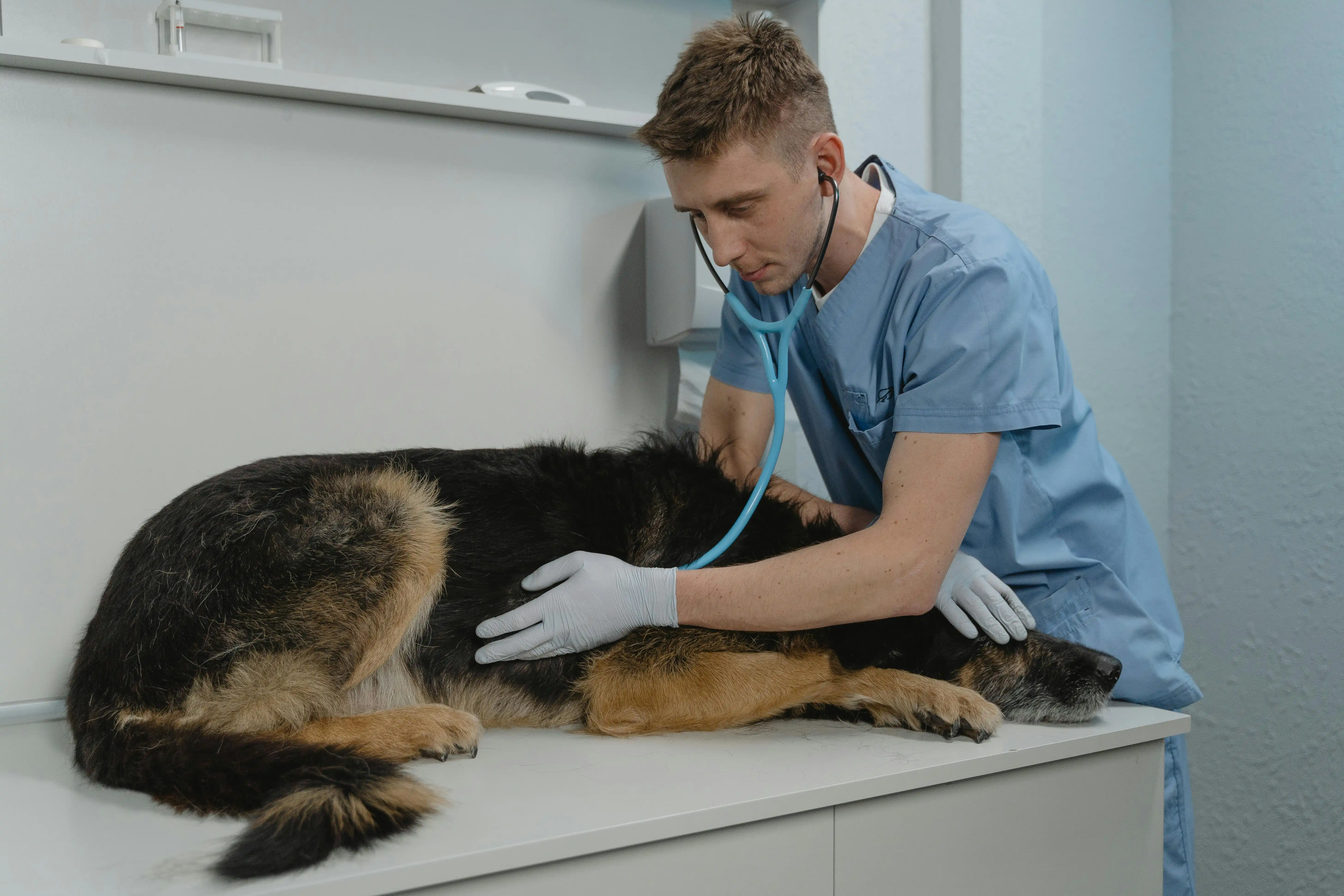 Vaccination Service